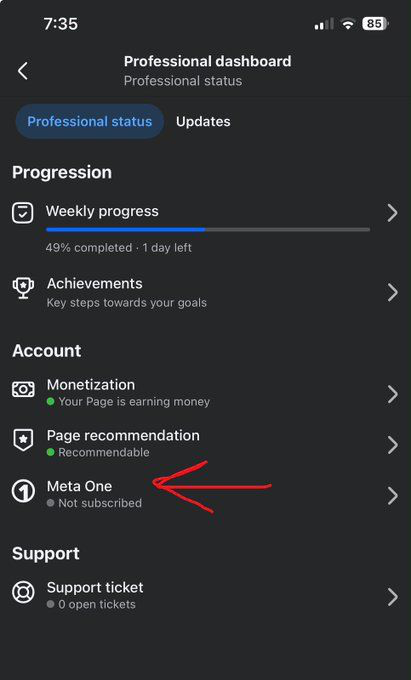 Facebook Professional dashboard Account section with a Meta One row between Monetization and Page recommendation