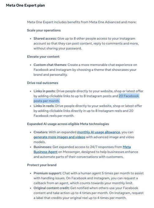 Meta One Expert plan document listing eight Instagram posts and twenty Facebook posts a month