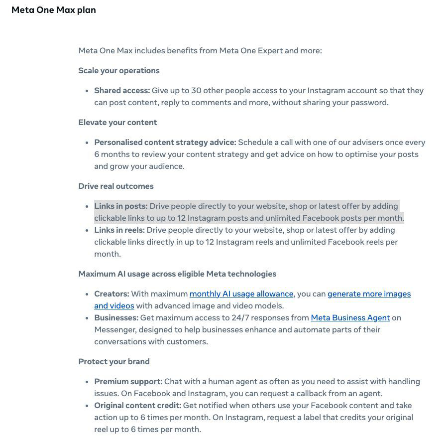 Meta One Max plan document listing unlimited Facebook posts and twelve Instagram posts a month, plus shared access for thirty people